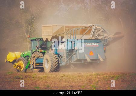 Ein Landwirt erntet Erdnüsse mit einem Erdnusskombinat, 15. Oktober 2021, in Grand Bay, Alabama. Stockfoto