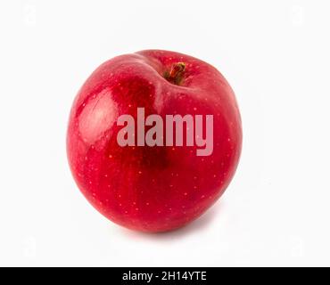 Isolierter roter Apfel. Reife Früchte auf weißem Hintergrund Stockfoto