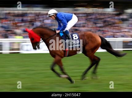 „Master of the Seas“ mit dem Jockey William Buick vor dem Einsatz von Queen Elizabeth II während des Qipco British Champions Day auf der Pferderennbahn Ascot. Bilddatum: Samstag, 16. Oktober 2021. Stockfoto