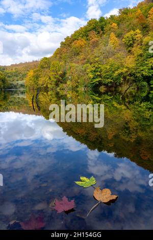 Hamori See in Lillafared Miskolc Perle des Bukk Naturparks in Ungarn mit bunten Booten Herbst Herbst Saison . Stockfoto