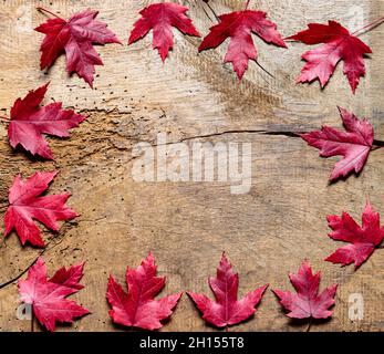 Hintergrund: Rote Ahornblätter auf rustikalem Eichentisch Stockfoto