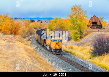 Zug, der im Herbst an einer alten Scheune in jens, montana, vorbeifährt Stockfoto