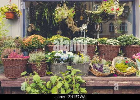 Heidekraut, Chrysantheme und hängende Blumen und Kränze im Blumenladen. Halloween und Thanksgiving Herbstdeko mit Blumen in trendigen Rattankörben Stockfoto