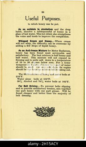 Innenseite mit dem Titel Nützliche Zwecke (von Honig) und einem Korb mit Fußnoten im Obst- oder Gemüsedesign - aus einem Original-Heftchen für gesunde Ernährung aus den 1920er Jahren aus der Bibliothek „Health from Food“ (Nr. 12), Vom berühmten Lebensmitteljournalist der damaligen Zeit und Besitzer des ersten Reformhauses - James Henry Cook - trägt dieser Titel der Serie „Honey and the Bee“, in dem Honigrezepte aus dem Jahr 1927 in Birmingham, England, veröffentlicht wurden Stockfoto