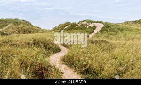Ein Pfad, der sich über die Sanddünen zwischen dem Formby-Strand und dem Formby-Wald in der Nähe von Liverpool biegt. Stockfoto