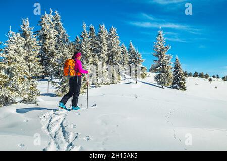 Skilanglauf auf der verschneiten Piste. Sportliche Frau mit Rucksack, Skitouren im tiefen Pulverschnee und die Aussicht genießen, Karpaten, Siebenbürgen Stockfoto