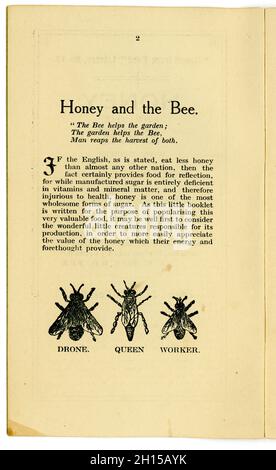 Auf der Innenseite mit dem Titel Honey and the Bee und einem Fußnotenschild im Bienendesign aus einem Original-Heftchen für gesunde Ernährung aus den 20er Jahren der Health from Food Library (Nr. 12), Vom berühmten Lebensmitteljournalist der damaligen Zeit und Besitzer des ersten Reformhauses - James Henry Cook - trägt dieser Titel der Serie „Honey and the Bee“, in dem Honigrezepte aus dem Jahr 1927 in Birmingham, England, veröffentlicht wurden Stockfoto