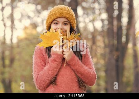 Lächelndes Teenager-Mädchen in gestricktem Hut und Pullover halten gelbe Ahornblätter im Wald des Parks in der Herbstsaison mit warmem Wetter, Kindheit Stockfoto