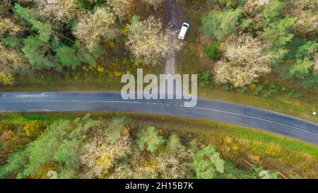 Draufsicht auf Wälder, Bäume. Alte Wälder von immergrünen Bäumen im Nationalpark ein UNESCO-Weltkulturerbe. Herbstlandschaft fotografiert mit einer Drohne. Stockfoto