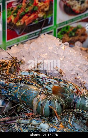 Hummer und Krebse werden auf einem thailändischen Fischmarkt auf der Insel phuket in thailand verkauft. Hummer und Schalentiere auf Eis auf einem Marktstand in thailand. Stockfoto