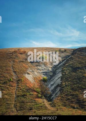 Idyllischer Blick auf die Landschaft auf einen einzelnen Baum auf den karstigen Kalksteinhügeln bei Orheiul Vechi, dem alten Orhei-Komplex, in der Nähe des Dorfes Trebujeni, Moldawien. Herbst se Stockfoto