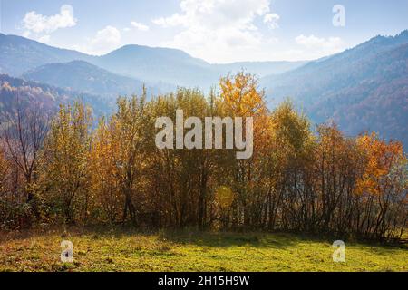 Landschaft im Herbst. Wald auf den Bergen in bunten Laub. Schöne Natur Hintergrund auf einem sonnigen Voroon Stockfoto