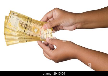 Geschäftskonzept, die Hand des Mädchens hält die Banknote in der Hand. Nahaufnahme. In isoliertem weißem Hintergrund Stockfoto