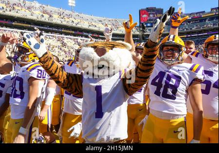 Baton Rouge, LA, USA. Oktober 2021. LSU-Maskottchen Mike the Tiger feiert mit Spielern, nachdem LSU Florida 49-42 im Tiger Stadium in Baton Rouge, LA besiegt hat. Jonathan Mailhes/CSM/Alamy Live News Stockfoto