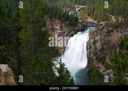 Upper Falls des Yellowstone River vom Upper Falls Viewpoint, Yellowstone National Park, Wyoming Stockfoto