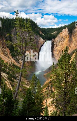 Blick auf die Lower Falls vom Red Rock Point, Yellowstone National Park, Wyoming Stockfoto