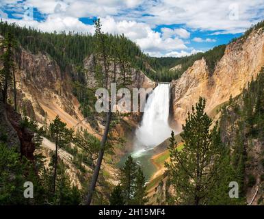 Blick auf die Lower Falls vom Red Rock Point, Yellowstone National Park, Wyoming Stockfoto