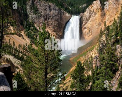 Blick auf die Lower Falls vom Red Rock Point, Yellowstone National Park, Wyoming Stockfoto