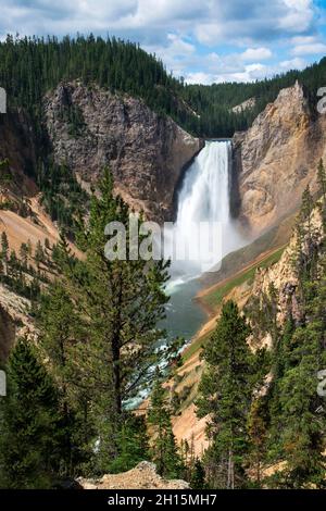 Blick auf die Lower Falls vom Red Rock Point, Yellowstone National Park, Wyoming Stockfoto