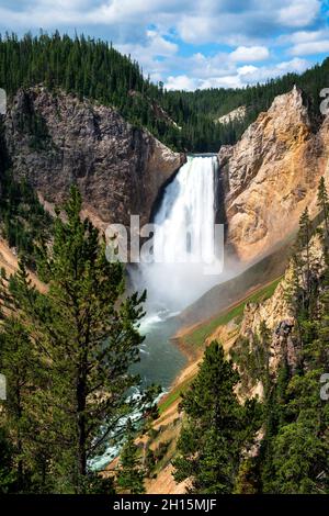 Blick auf die Lower Falls vom Red Rock Point, Yellowstone National Park, Wyoming Stockfoto