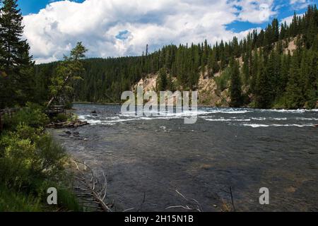 Der Yellowstone River verlässt den Yellowstone Lake und fließt nach Norden über LeHardy Rapids, den Yellowstone National Park, Wyoming Stockfoto