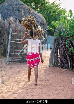 Afrikanische Frau kümmert sich um Buschholz in der reetgedeckten Hütte in einem Dorf in Botswana Stockfoto