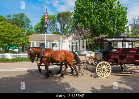 Mackinac Island, Michigan. Eine Pferdekutsche fährt am Postamt vorbei. Stockfoto