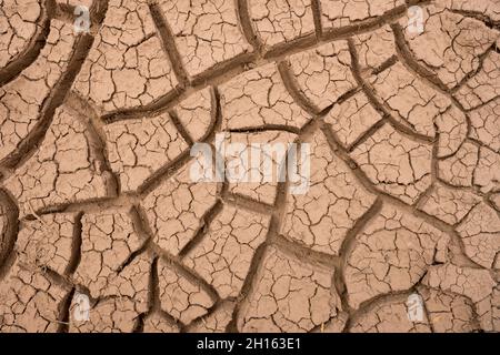 Flache und tiefe Risse im dicken Schlamm von oben Stockfoto