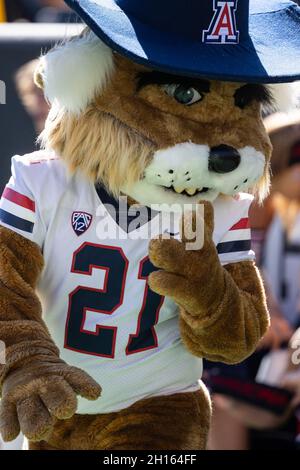 Boulder, CO, USA. Oktober 2021. Maskottchen von Arizona, Wilbur, die Wildkatze, patrouilliert am Rand des Fußballspiels zwischen Colorado und Arizona im Folsom Field in Boulder, CO. Colorado gewann 34:0. Derek Regensburger/CSM/Alamy Live News Stockfoto