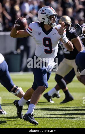 Boulder, CO, USA. Oktober 2021. Arizona Wildcats Quarterback Gunner Cruz (9) schaut in das Fußballspiel zwischen Colorado und Arizona im Folsom Field in Boulder, CO. Colorado gewann 34:0. Derek Regensburger/CSM/Alamy Live News Stockfoto