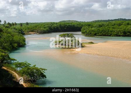 Mangrove am Barra de Camaratuba Beach, in der Nähe von Joao Pessoa, Paraiba, Brasilien am 1. April 2007. Stockfoto