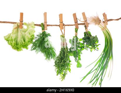 Set von Gewürzkräutern isoliert auf weißem Hintergrund Trauben von Thymian, Basilikum, Oregano, Petersilie Stockfoto