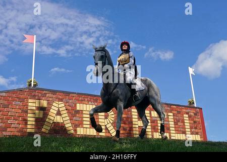 Fair Hill, MD, USA. Oktober 2021. 16. Oktober 2021: Hannah Se Burnett (USA), an Bord von Harbor Pilot, während des Maryland Five-Star in der Fair Hill Special Event Zone in Fair Hill, Maryland, am 16. Oktober 2021. Jon Durr/Eclipse Sportswire/CSM/Alamy Live News Stockfoto