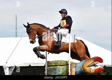 Fair Hill, MD, USA. Oktober 2021. 16. Oktober 2021: Oliver Townend (GBR), an Bord von Ulises, während des Maryland Five-Star in der Fair Hill Special Event Zone in Fair Hill, Maryland, am 16. Oktober 2021. Karina Serio/Eclipse Sportswire/CSM/Alamy Live News Stockfoto