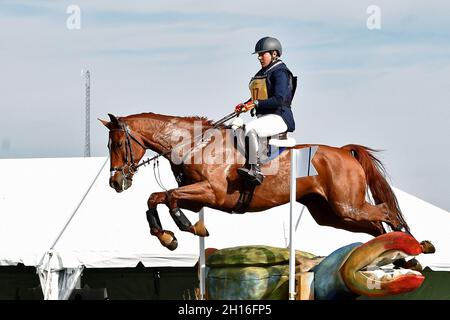 Fair Hill, MD, USA. Oktober 2021. 16. Oktober 2021: Shannon Lilley (USA), an Bord von Ideal HX, während des Maryland Five-Star in der Fair Hill Special Event Zone in Fair Hill, Maryland, am 16. Oktober 2021. Karina Serio/Eclipse Sportswire/CSM/Alamy Live News Stockfoto