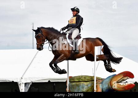 Fair Hill, MD, USA. Oktober 2021. 16. Oktober 2021: Dani Sussman (USA), an Bord von Jos Bravio, während des Maryland Five-Star in der Fair Hill Special Event Zone in Fair Hill, Maryland, am 16. Oktober 2021. Karina Serio/Eclipse Sportswire/CSM/Alamy Live News Stockfoto