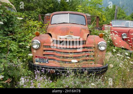 Ein verlassener 1948 Chevy 6400 LKW, umgeben von Unkraut, in einem Schrottplatz in Idaho, USA Stockfoto