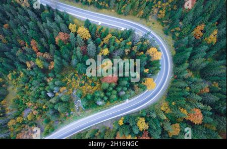 Blick aus der Höhe der Straße, die sich durch den herbstlichen Bergwald mit bunten Blättern schlängelt. Grüner Weihnachtsbaum Draufsicht Stockfoto