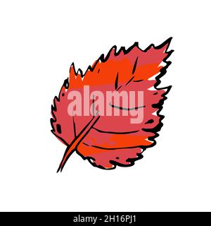 Herbstskizze Rotes Birkenblatt. Handgezeichnetes, strukturiertes Kraut in rosa Farbe auf weißem Hintergrund. Bild der Doodle-Pflanze. Natur, Wald, Ikebana, Fallschild. Geschnitzt Stock Vektor