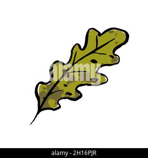 Herbstskizze grünes Eichenblatt. Handgezeichnetes strukturiertes Kraut auf weißem Hintergrund. Bild der Doodle-Pflanze. Natur, Wald, Ikebana, Herbst, Sommerschild. Geschnitzte Tinte Stock Vektor