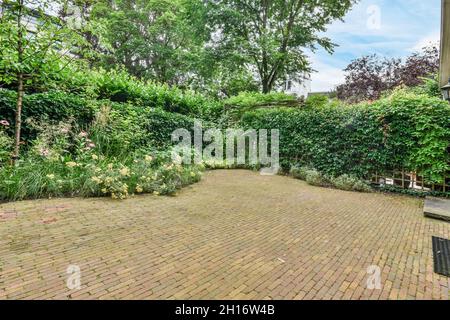 Malerische üppig grüne blühende Pflanzen und Bäume wachsen im Hinterhof des Hauses mit gepflastertem Boden unter blauem Himmel an sonnigen Tag Stockfoto