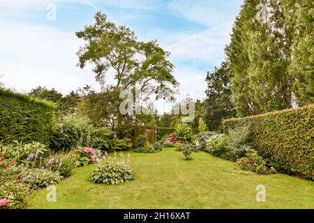Hinterhof mit blühenden Blumen und hohen grünen Bäumen, die bei Tageslicht auf der Wiese unter bewölktem Himmel wachsen Stockfoto