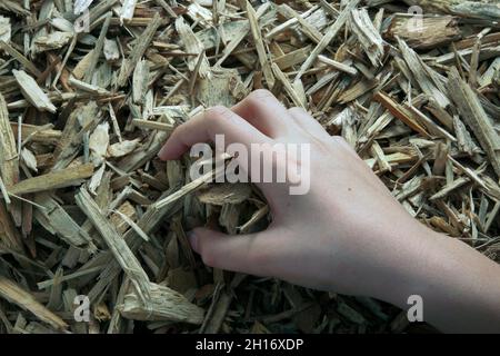 Holzspäne, um Wärme zu erzeugen Stockfoto