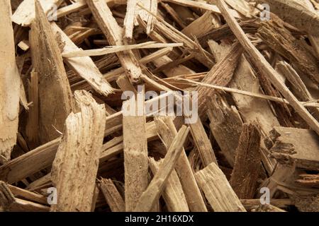 Holzspäne, um Wärme zu erzeugen Stockfoto