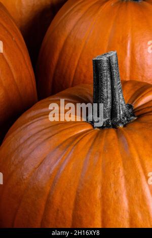 Ganze orange Kürbisse dunklen Hintergrund Danksagekarte oder halloween stilvolle Karte Stockfoto