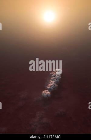 See mit klarem rosa Wasser und Salz in berühmten Nationalpark in Torrevieja Stadt Spanien in der Abendzeit während des Sonnenuntergangs Stockfoto