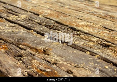 Covehithe Schiffswrack Suffolk Stockfoto