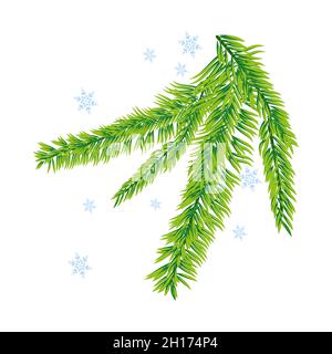 Fichtenzweig. Schneeflocken. Isoliert auf weißem Hintergrund. Vektorgrafik Weihnachten. Stock Vektor