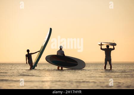 Drei junge Freunde stehen im Wasser mit Brettern in den Händen und schauen auf den Sonnenuntergang Stockfoto