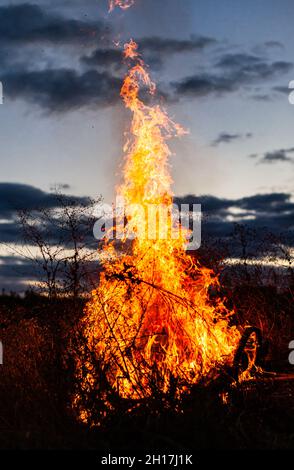 Großes Lagerfeuer, das im Dunkeln gegen den Himmel brennt. Hochwertige Fotos Stockfoto